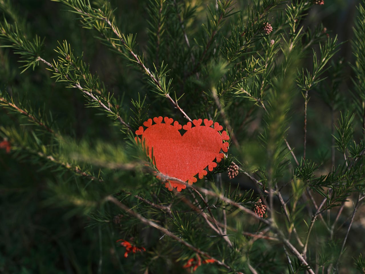 Heart-shaped cut Valentine’s Day card surrounded by greenery, featuring greeting cards for Valentine's Day for a natural touch to your celebration.