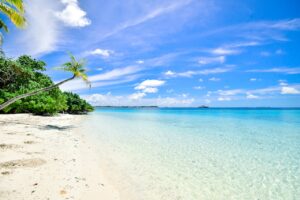 A breathtaking beach view in Turks and Caicos with crystal-clear waters, soft white sand, and tall coconut trees under a bright, sunny sky.